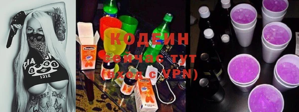 крисы Богородицк